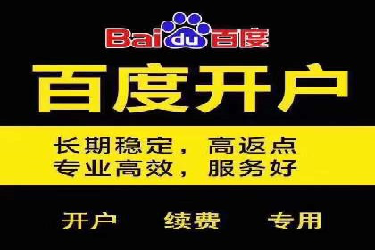 百度SEO优化公司案例：打造品牌网络曝光新高度