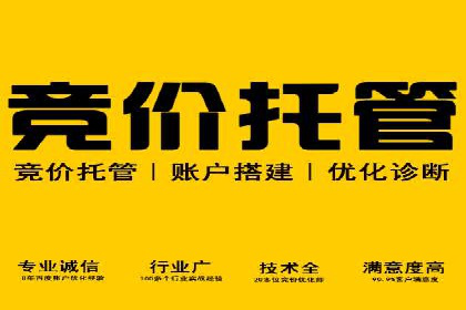 SEM代理实战：成功案例分享与经验总结